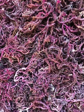 Jamaican Purple SeaMoss 5lb